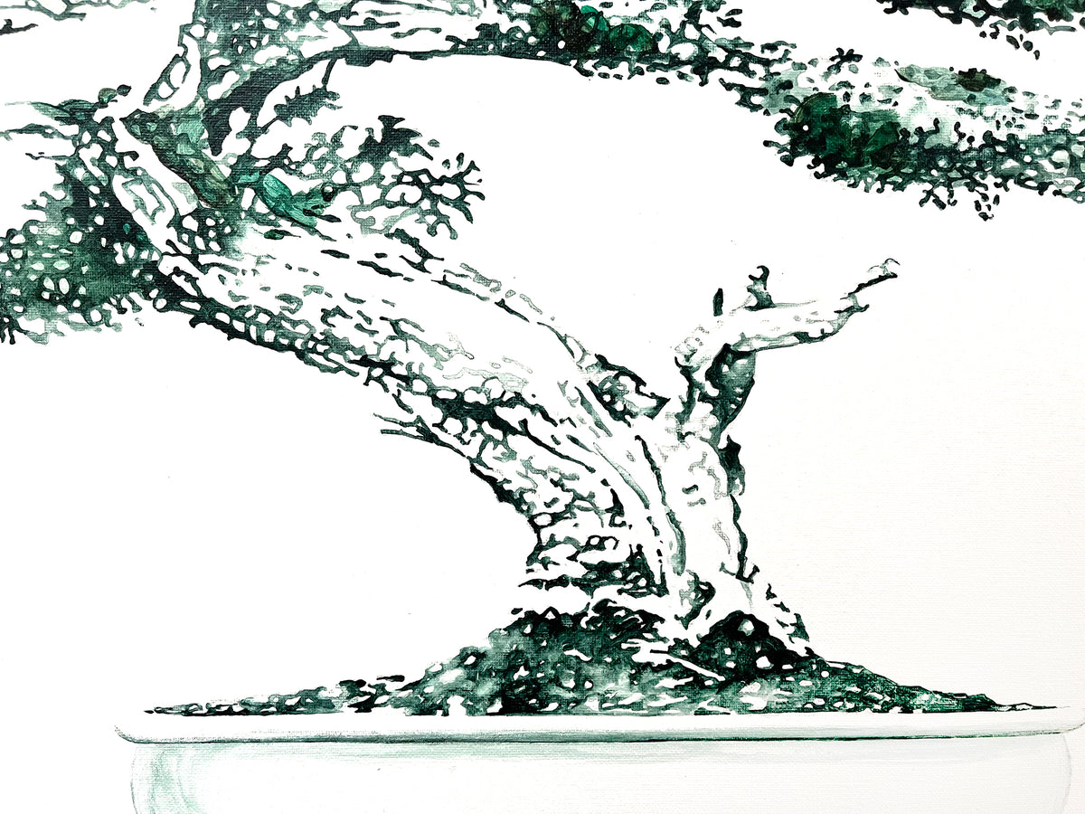 Emerald-Bonsai-Original-