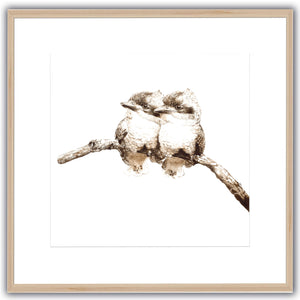 Baby Laughing Kookaburras. Limited Edition Animal Print Square.