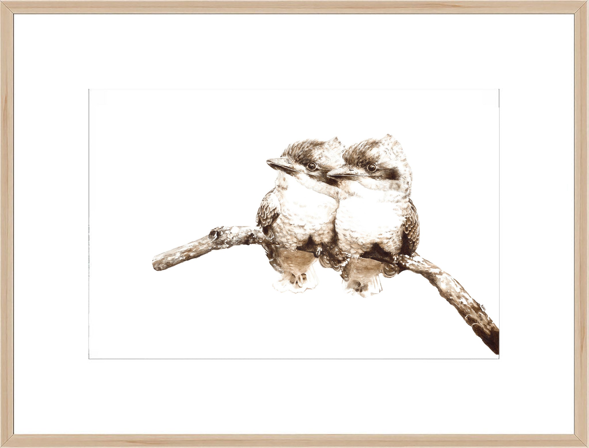 "Baby Laughing Kookaburras" - High Quality Limited Edition Animal Print