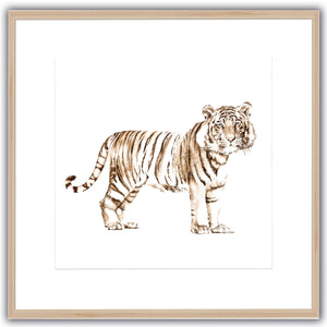 The Tiger. Limited Edition Animal Print Square.