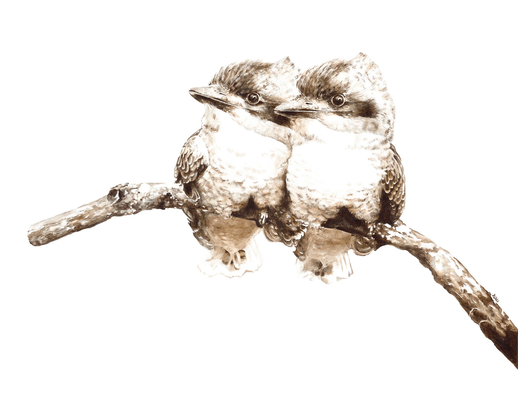 Baby Laughing Kookaburras. Limited Edition Animal Print Square.